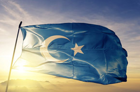 İslam Dünyası Doğu Türkistan'a Sahip Çıkmalı / Doğu Türkistanlı Öğretim Üyesi Dr. Alimcan Buğda