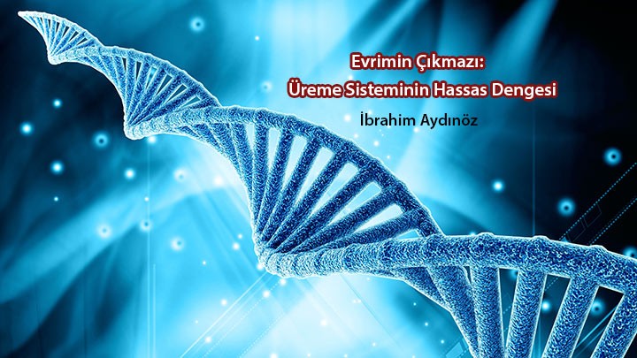 Evrimin Çıkmazı: Üreme Sisteminin Hassas Dengesi / İbrahim Aydınöz